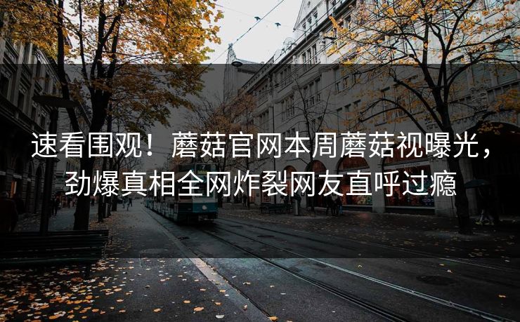速看围观！蘑菇官网本周蘑菇视曝光，劲爆真相全网炸裂网友直呼过瘾